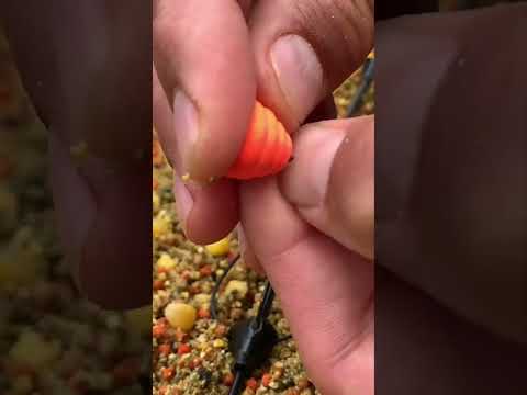 Plan Canje Horca de mango largo