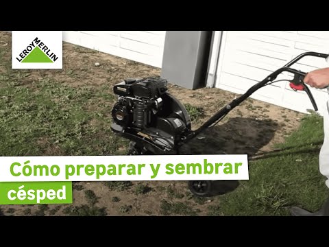 Plan Canje Rodillo para sembrar césped