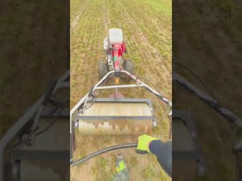 Plan Canje Rodillo para césped